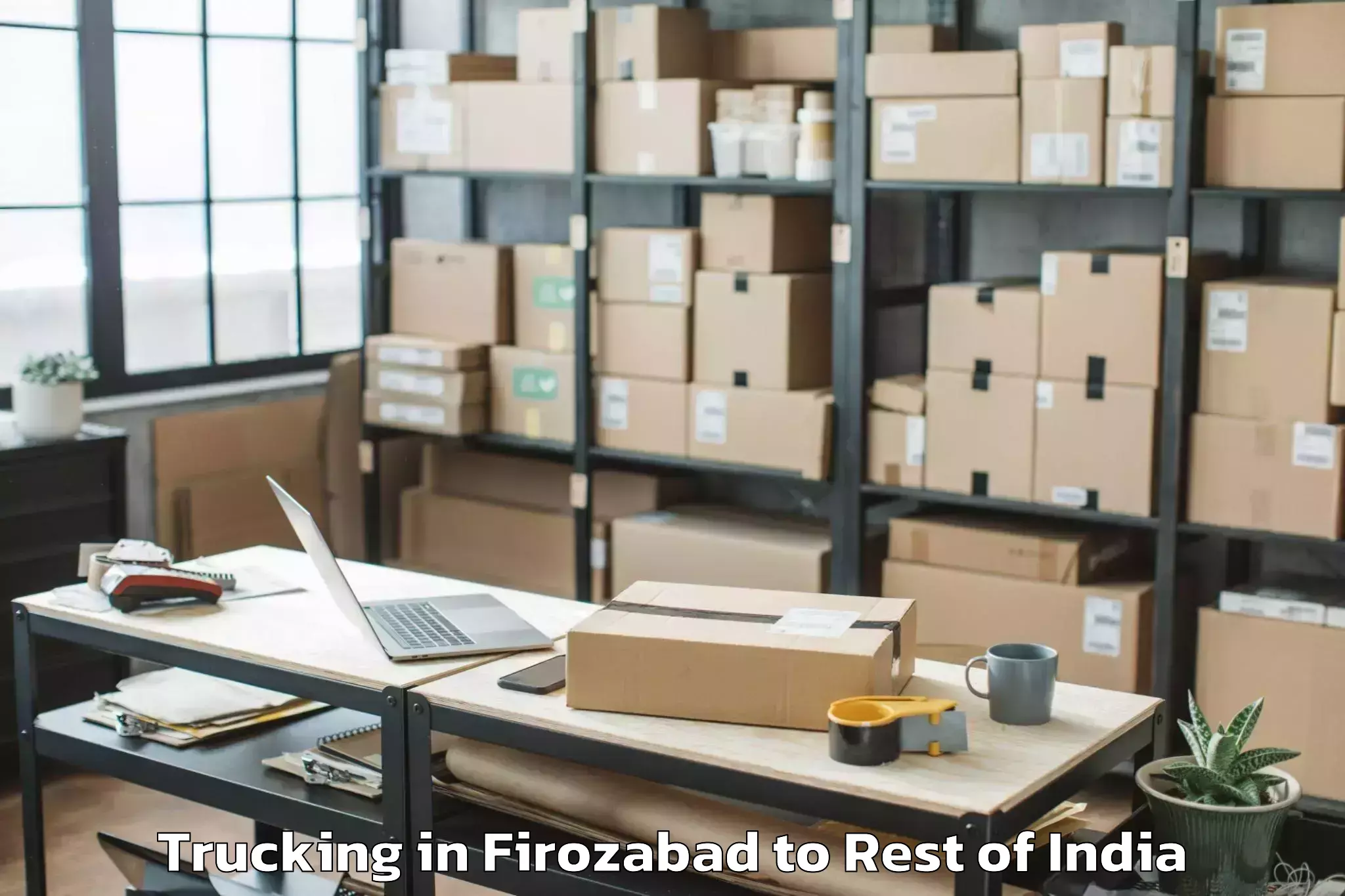 Expert Firozabad to Egattur Trucking